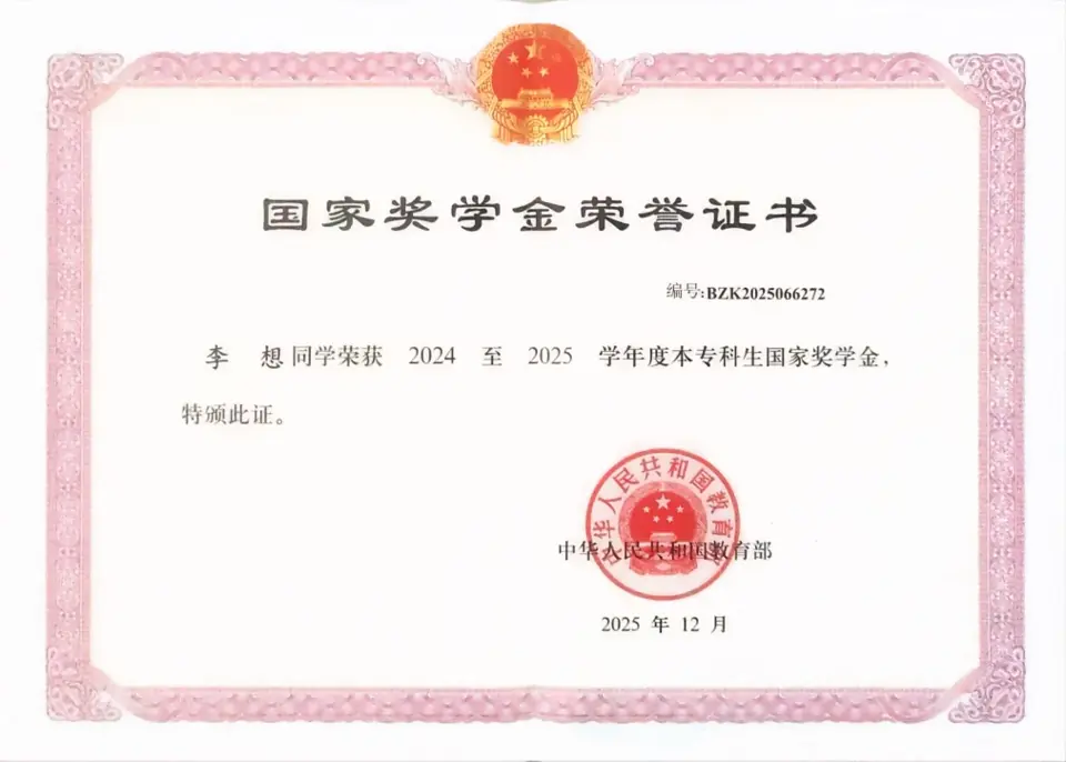 国家奖学金荣誉证书获奖证书
